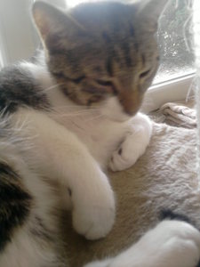 weihnachtswichteln 2017 080.jpg