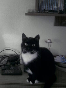 weihnachtswichteln 2017 112.jpg