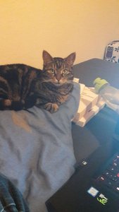 WhatsApp Image 2018-02-27 at 21.42.11.jpeg