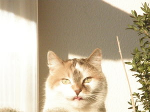 ich kann auch bloedschauen.JPG