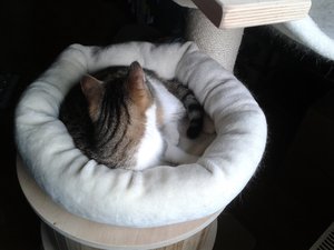 Handy 004.jpg Handy 004.jpg