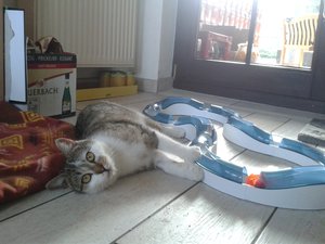 Handy 006.jpg Handy 006.jpg