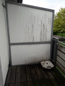 WhatsApp Image 2018-05-04 at 08.34.15.jpeg