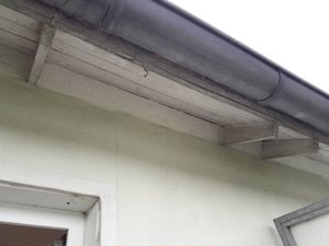 WhatsApp Image 2018-05-04 at 08.34.16.jpeg