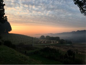 WhatsApp Image 2018-04-26 at 08.00.55.jpeg