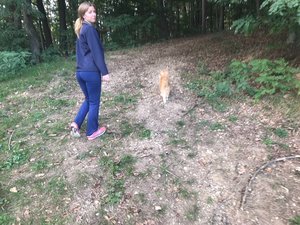 spazieren im Wald.JPG