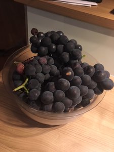 Trauben.JPG