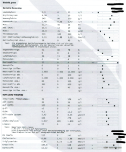 Bluttest Ausschnitt.PNG