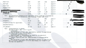 Urintest Ausschnitt.PNG
