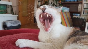 2017-07-14 19.44.41.jpg