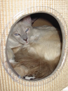 Maik Geburtstag 020.JPG