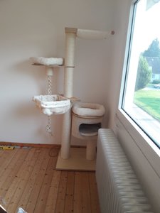 WhatsApp Image 2018-06-09 at 18.49.18.jpeg