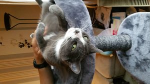 IMG-20170702-WA0024 (1).jpeg