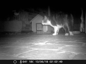 Terrasse 12.06 003.jpg