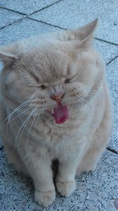 K640_20180530_190733.JPG K640_20180530_190733.JPG