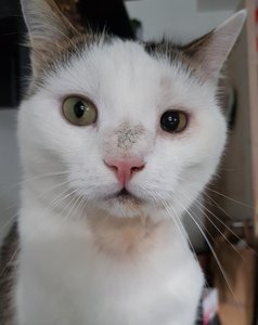 20180528_073517.jpg 20180528_073517.jpg