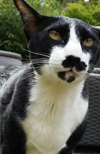 20170507_105224-2.jpg 20170507_105224-2.jpg