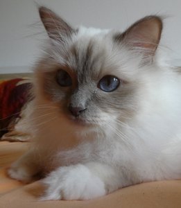 20180626_093211.jpg 20180626_093211.jpg