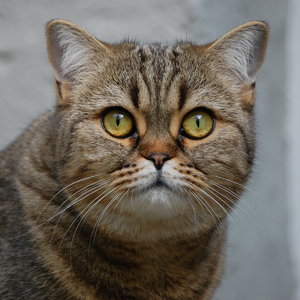 DSC_6095-001.JPG DSC_6095-001.JPG