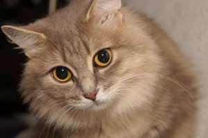 DSC05973.jpg DSC05973.jpg