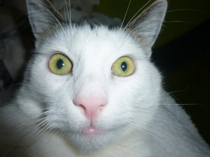 25405978qp.jpg 25405978qp.jpg