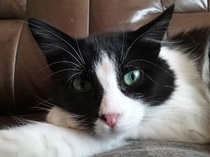 20180421_131927.jpg 20180421_131927.jpg