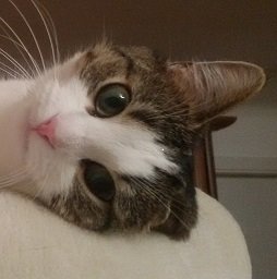 Lusy a.jpg Lusy a.jpg