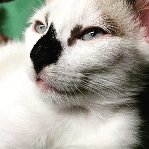 19436973_1466652110048519_3261111514722992128_n.jpg 19436973_1466652110048519_3261111514722992128_n.jpg