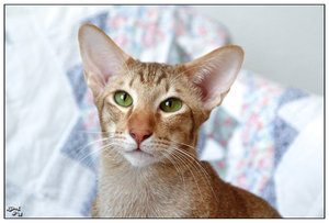 IMG_5819_2.jpg IMG_5819_2.jpg