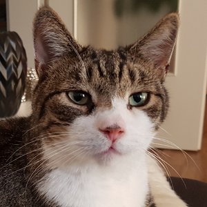 Taylor.jpg Taylor.jpg