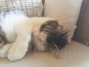 20180629_132653.jpg 20180629_132653.jpg