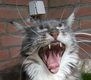 IMG_20180609_155210.jpg IMG_20180609_155210.jpg