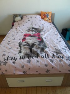 WhatsApp Image 2018-06-30 at 21.50.00.jpeg