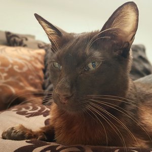 20180702_210448 (3).jpg 20180702_210448 (3).jpg