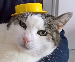 IMG-20180304-WA0002 (2).jpg IMG-20180304-WA0002 (2).jpg