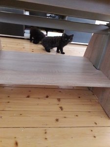 WhatsApp Image 2018-07-12 at 21.04.10.jpeg