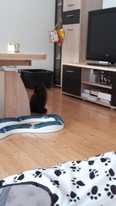 WhatsApp Image 2018-07-12 at 21.09.20.jpeg