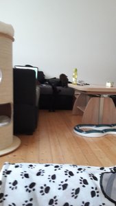 WhatsApp Image 2018-07-12 at 21.15.29.jpeg