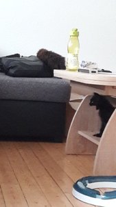 WhatsApp Image 2018-07-12 at 21.16.24.jpeg