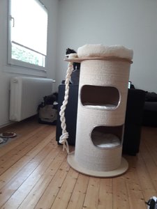 WhatsApp Image 2018-07-12 at 21.19.20.jpeg