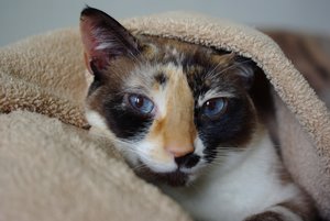 IMGP4064.jpg IMGP4064.jpg