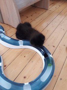 WhatsApp Image 2018-07-13 at 13.40.06.jpeg