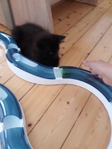 WhatsApp Image 2018-07-13 at 13.52.23.jpeg