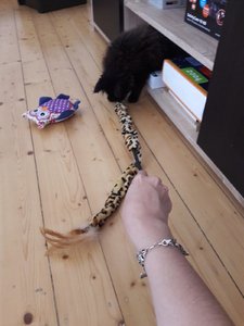 WhatsApp Image 2018-07-13 at 13.40.07.jpeg