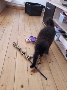 WhatsApp Image 2018-07-13 at 13.40.07 (1).jpeg