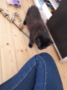 WhatsApp Image 2018-07-13 at 13.40.09 (1).jpeg