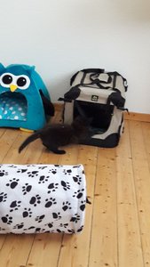 WhatsApp Image 2018-07-13 at 13.49.55.jpeg