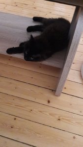 WhatsApp Image 2018-07-13 at 21.09.17.jpeg