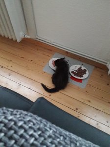 WhatsApp Image 2018-07-13 at 21.44.27.jpeg