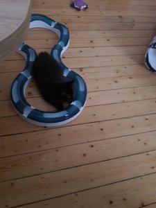 WhatsApp Image 2018-07-13 at 21.44.24.jpeg